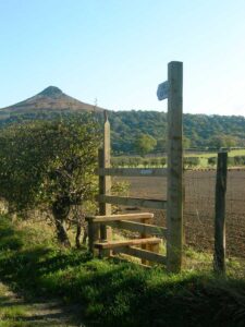The new scheme will offer up to £5k per project The new scheme will offer up to £5k per project