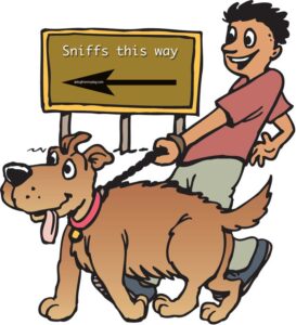 Dog walking can be great exercise and a fantastic way to get some fresh air