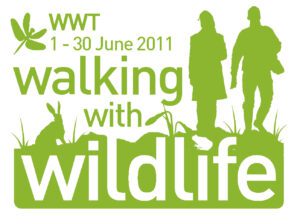 Walking with Wildlife