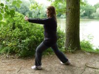 Go to your local woodland and get some easy exercise. Credit: WTPL Go to your local woodland and get some easy exercise. Credit: WTPL